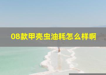 08款甲壳虫油耗怎么样啊