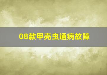 08款甲壳虫通病故障