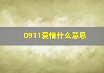 0911爱情什么意思