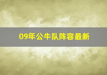 09年公牛队阵容最新