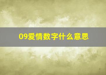 09爱情数字什么意思