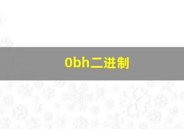 0bh二进制