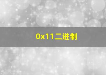 0x11二进制