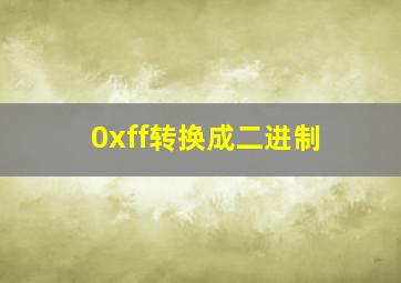 0xff转换成二进制