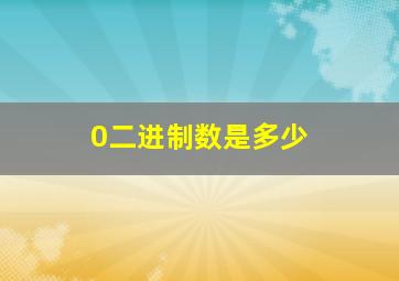 0二进制数是多少