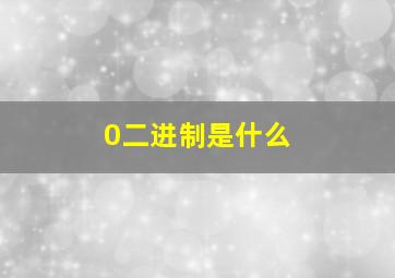 0二进制是什么