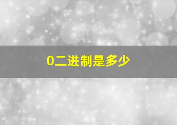 0二进制是多少