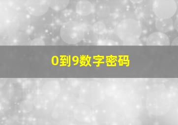 0到9数字密码