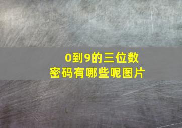 0到9的三位数密码有哪些呢图片