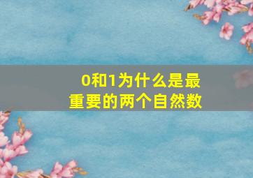 0和1为什么是最重要的两个自然数