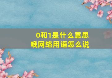 0和1是什么意思哦网络用语怎么说