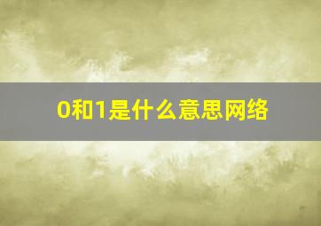 0和1是什么意思网络