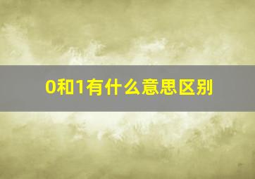 0和1有什么意思区别