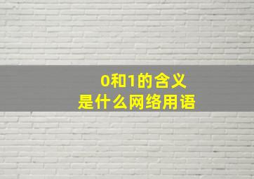 0和1的含义是什么网络用语