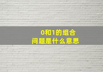 0和1的组合问题是什么意思