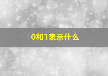 0和1表示什么