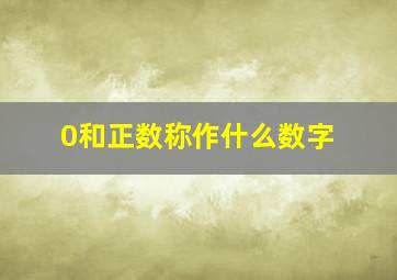 0和正数称作什么数字