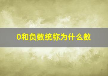 0和负数统称为什么数