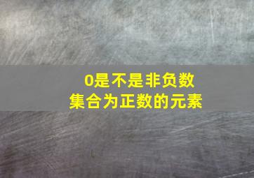 0是不是非负数集合为正数的元素