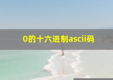 0的十六进制ascii码