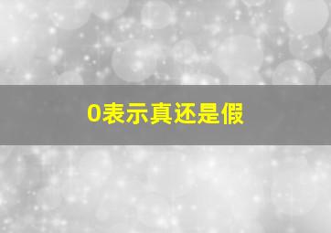 0表示真还是假