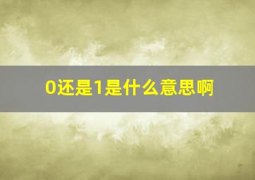 0还是1是什么意思啊