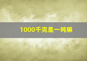 1000千克是一吨嘛