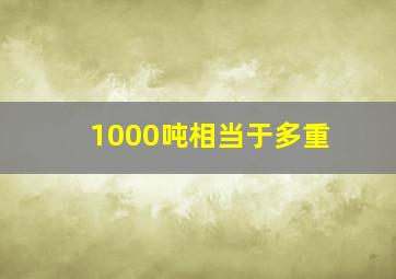 1000吨相当于多重