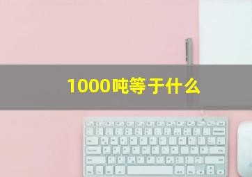 1000吨等于什么