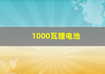 1000瓦锂电池