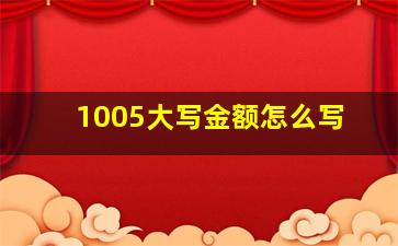 1005大写金额怎么写