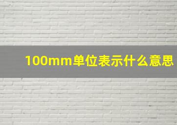 100mm单位表示什么意思