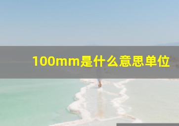 100mm是什么意思单位