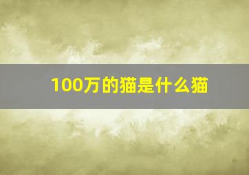 100万的猫是什么猫