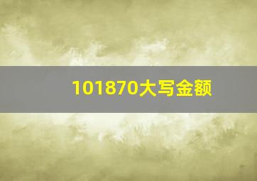 101870大写金额