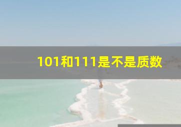 101和111是不是质数