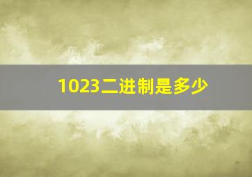 1023二进制是多少