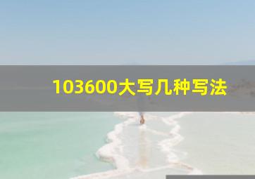 103600大写几种写法