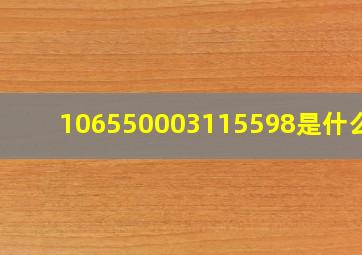 106550003115598是什么号