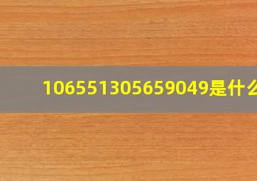 106551305659049是什么号