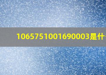 1065751001690003是什么号