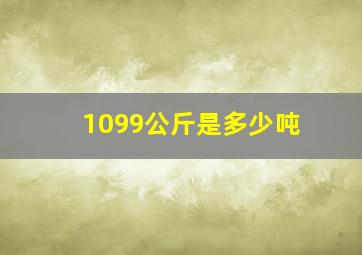 1099公斤是多少吨