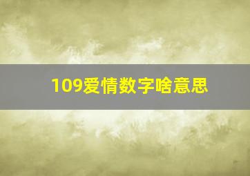 109爱情数字啥意思