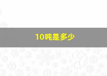 10吨是多少