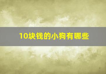 10块钱的小狗有哪些