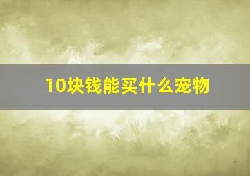 10块钱能买什么宠物