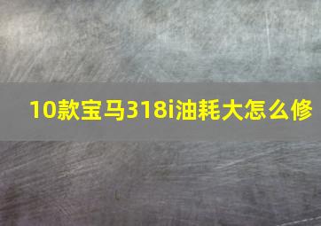 10款宝马318i油耗大怎么修