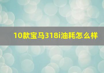 10款宝马318i油耗怎么样