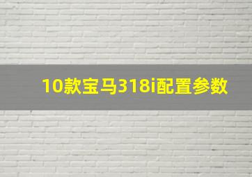 10款宝马318i配置参数