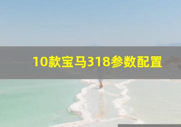 10款宝马318参数配置